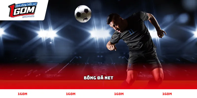 bóng đá net