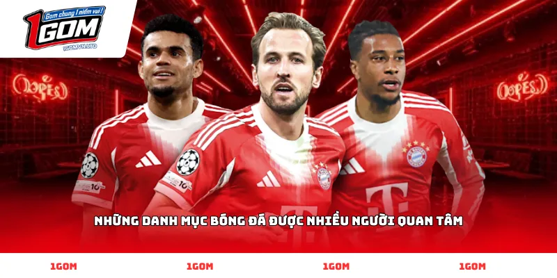 Những Danh Mục Bóng Đá Được Nhiều Người Quan Tâm